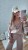 dji_mimo_20250803_153400_20250803153400_1754245417631_photo.jpeg